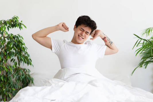 How Much Sleep Do You Really Need?